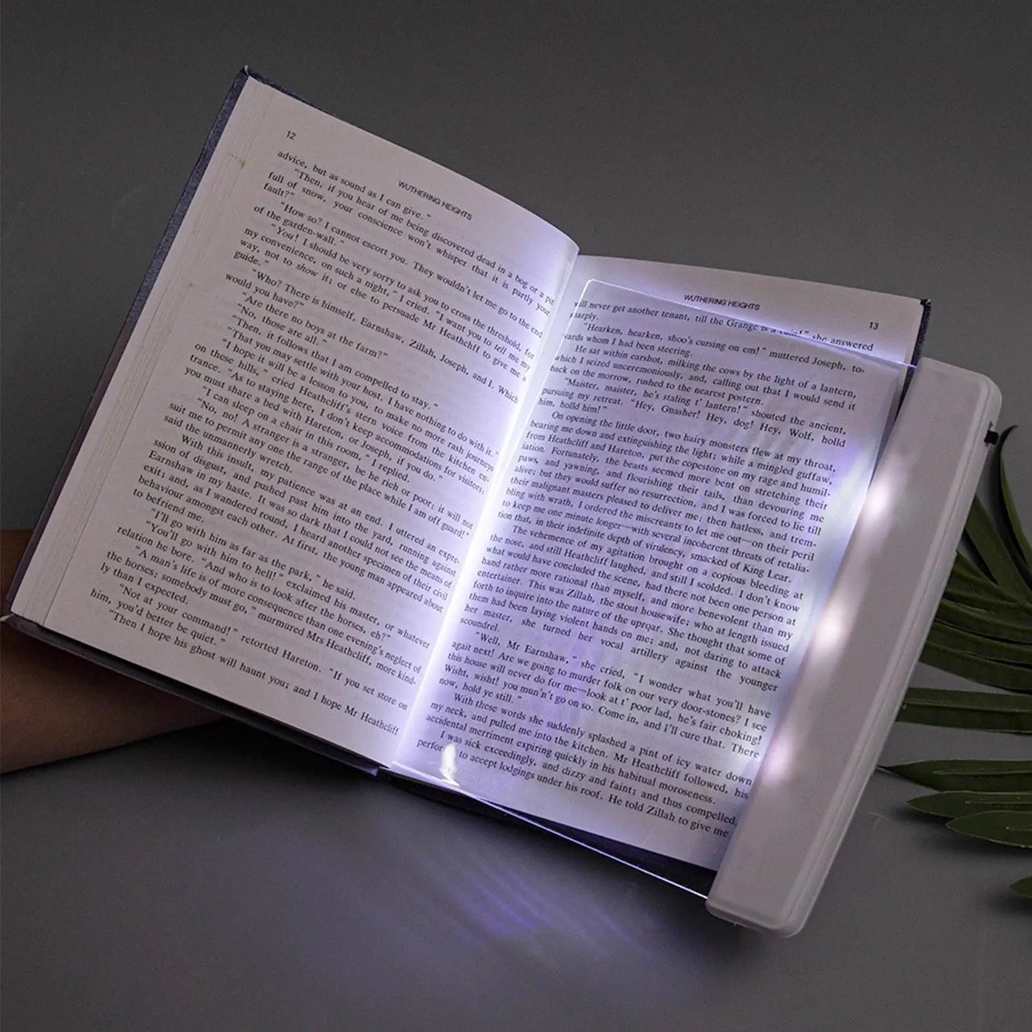 Page Light